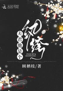 夫君他是个纨绔封面
