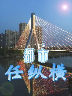 都市任纵横封面