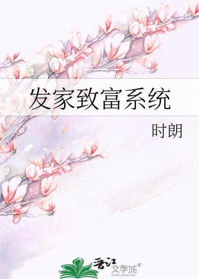 发家致富系统封面