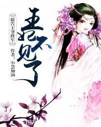 报告王爷将军：王妃不见了封面