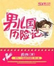 男儿国历险记封面