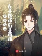 武侠同人：左手医术右手毒术封面