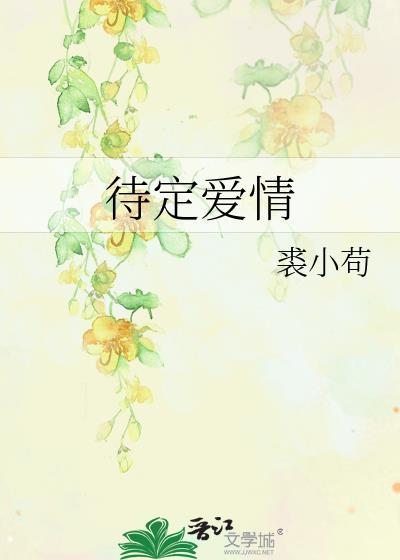待定爱情封面