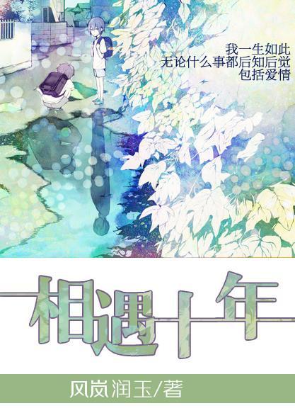 相遇十年封面