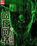 疯狂网络封面