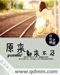 原来都来不及封面