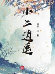 逍遥圣手老刘郑倩封面
