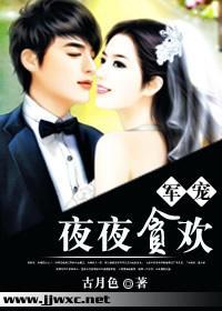 军宠，夜夜贪欢封面