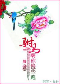 驸马啊你慢些跑封面