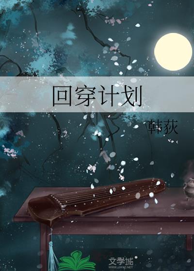 回穿计划封面