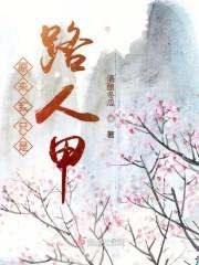 我只是个路人甲封面