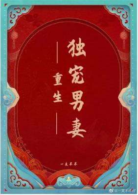 重生独宠男妻封面