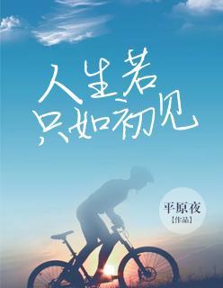 人生若只如初见封面