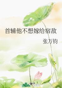 首辅他不想嫁给宿敌封面