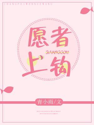 愿者上钩封面