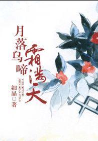 月落乌啼霜满天封面