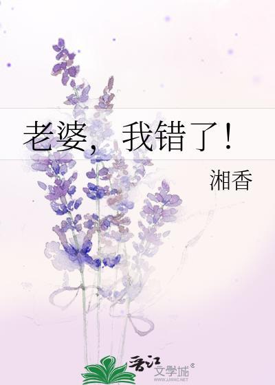 老婆，我错了！封面