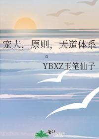 宠夫，原则，天道体系封面