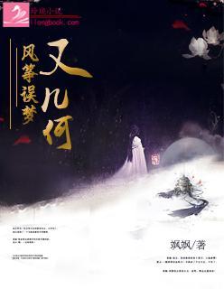 风筝误梦又几何封面