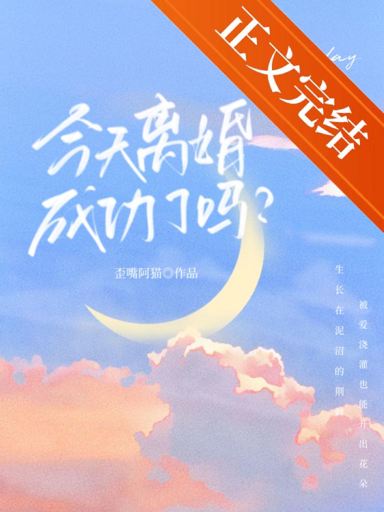 今天离婚成功了吗封面