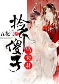 捡个傻子当夫君封面