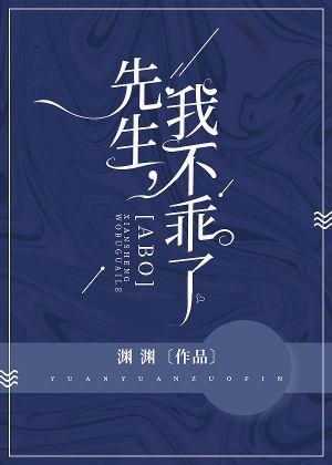 先生，我不乖了封面