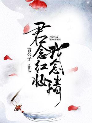 君念红妆我念情封面