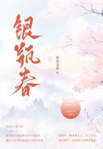 银瓶春封面