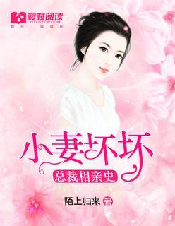 总裁相亲史：小妻坏坏封面
