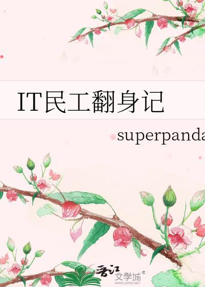 IT民工翻身记封面