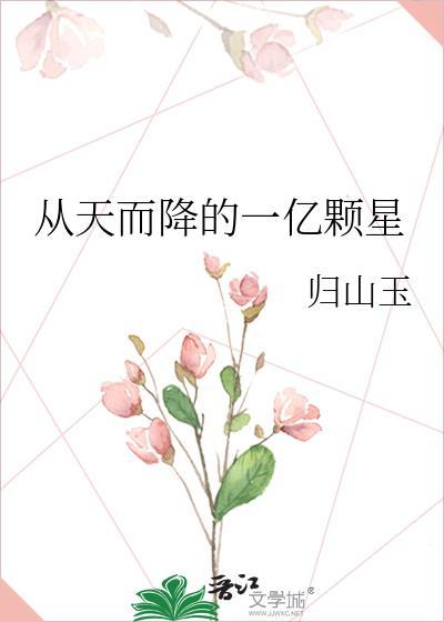 从天而降的一亿颗星封面
