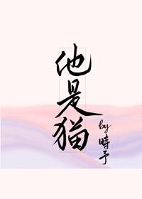他是猫封面