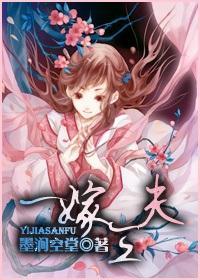 一嫁三夫封面