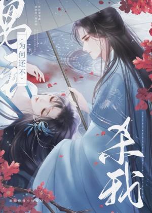 男主为何还不杀我封面