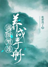 满级黑莲养成手册封面