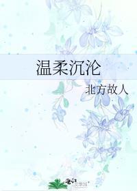温柔沉沦封面