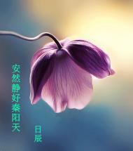 安然静好秦阳天封面