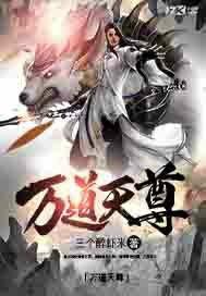 万道天尊封面