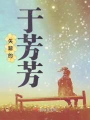 失踪的于芳芳封面