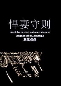 悍妻守则封面