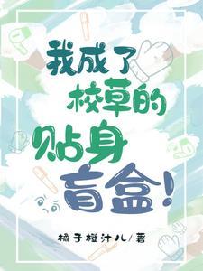 我成了校草的贴身盲盒封面