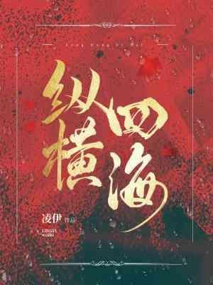 纵横四海封面