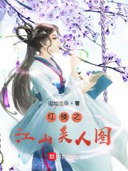 红楼之江山美人图封面
