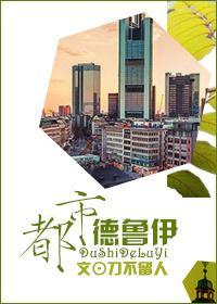 都市德鲁伊封面
