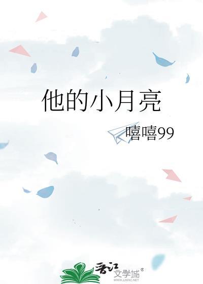 他的小月亮封面