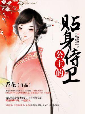 公主的贴身侍卫封面