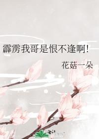 霹雳我哥是恨不逢啊！封面