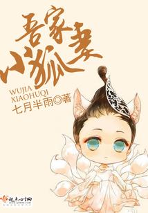 吾家小狐妻封面
