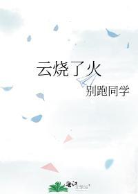 云烧了火封面