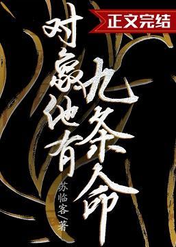 对象他有九条命封面